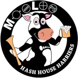 Mooloo H3 logo