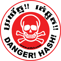 P2H3 logo